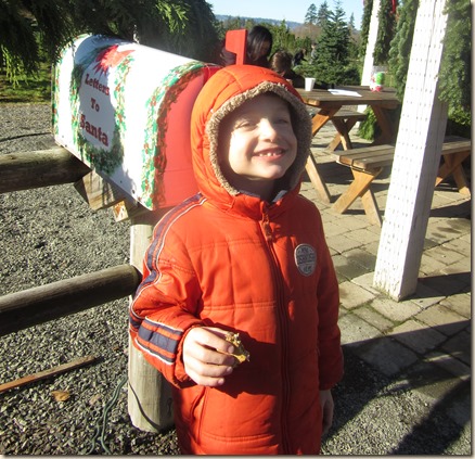 11-27 Christmas tree 8