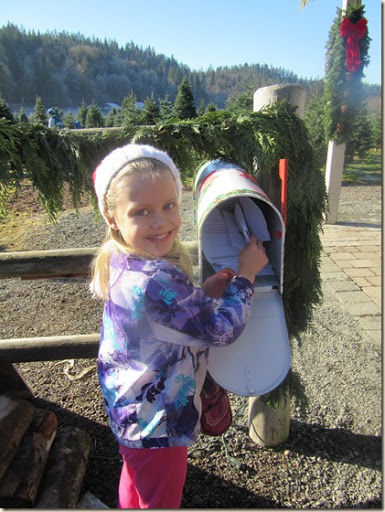 11-27 Christmas tree 6