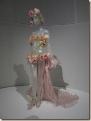 IMG_5904 - Copy - Copy