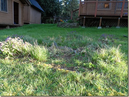 4-14 cabin front yard 2