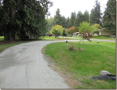 Sept. 2015 new at cabin 10