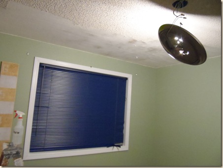 Wesley's Birthday 026