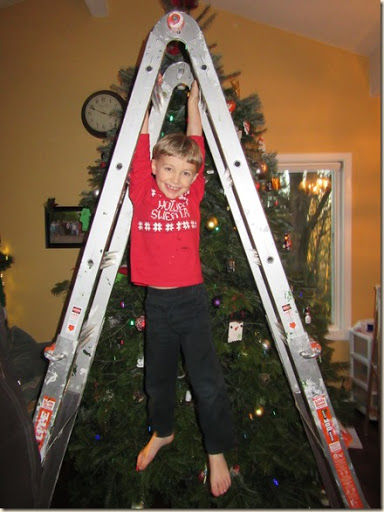 11-27 Christmas tree 11