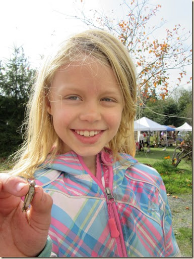 10-17 Bayview Farmers market 1