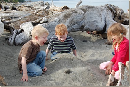 4-26 Cabin with Sus 12