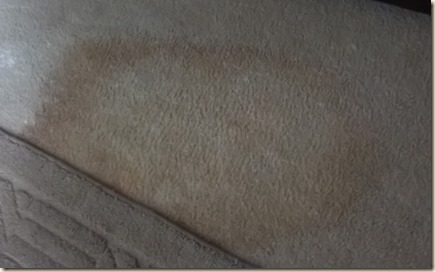 June basement floor 3