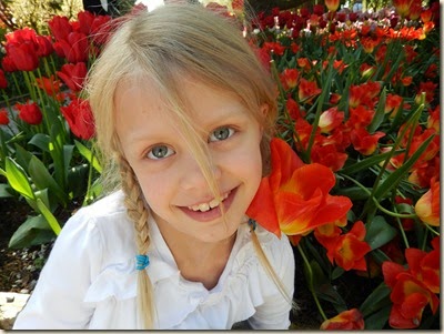 4-17 Tulips 33