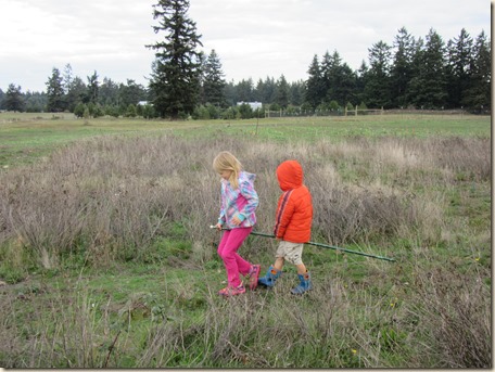 10-17 whidbey audobon walk 1